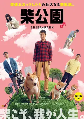 日韩在线播放中文字幕