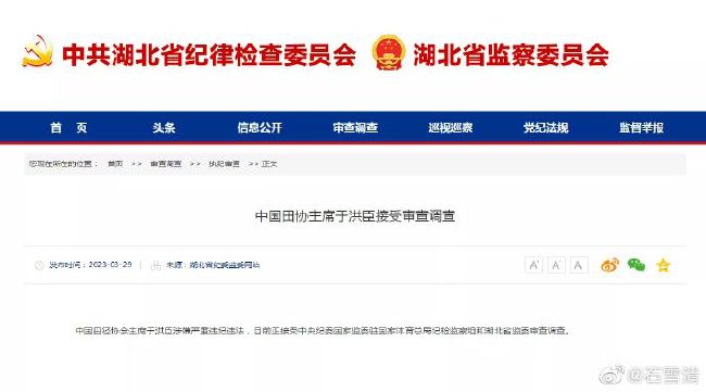 久久亚洲国产中v天仙www