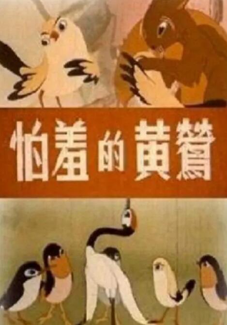 长款2020