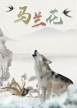99久久精品国产综合一区