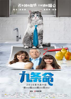 91高清视频免费看