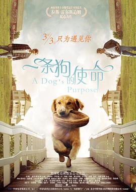 国产香蕉视频在线