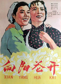 美女骑vk